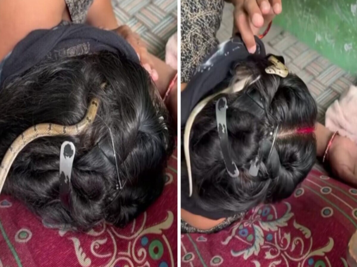 A snake entered the hair of a woman